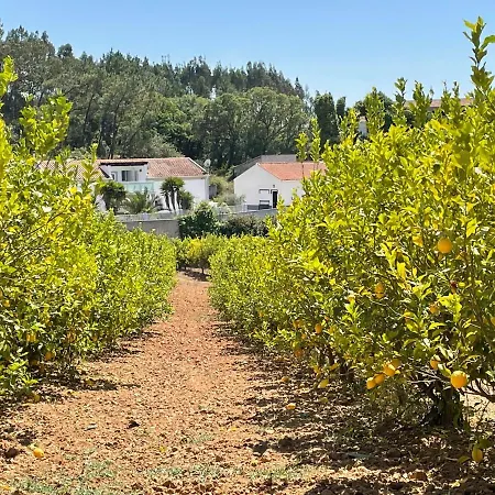 Casa Sao Domingos Salir de Matos
