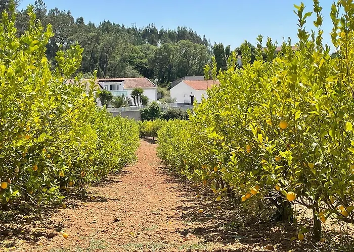 Casa Sao Domingos Salir de Matos